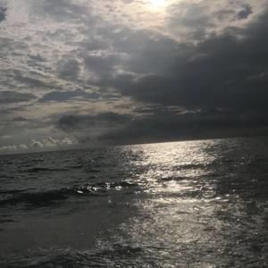 Meet your Posher, Caleb